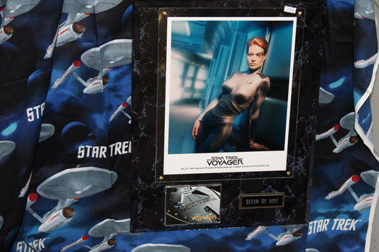 Jeri Ryan as 7 of 9 wall Plaque