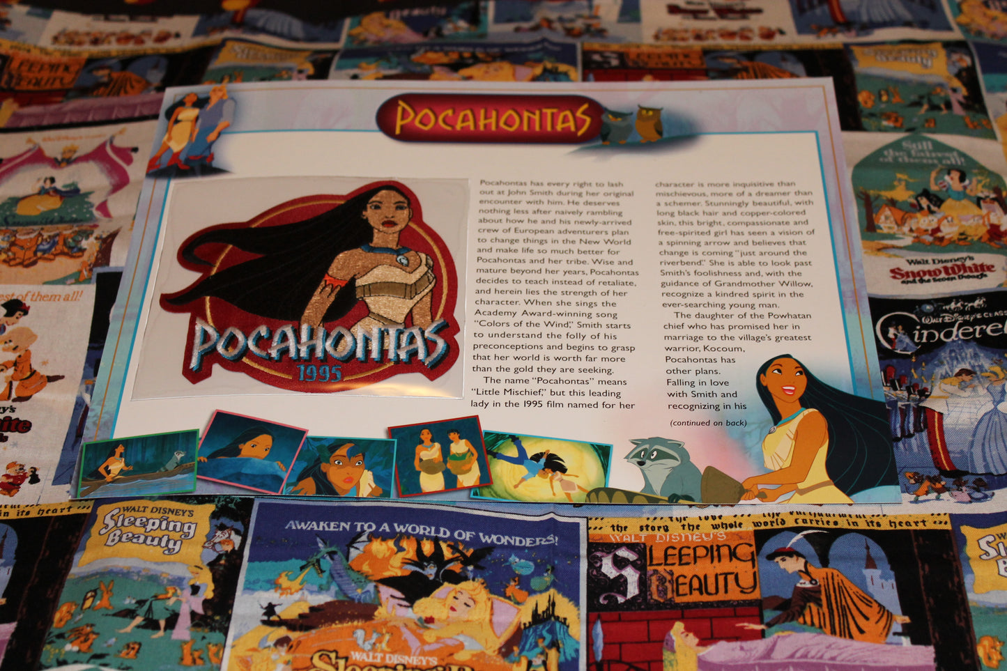 Willabee and Ward Disney Collector Patch "Pocahantas"