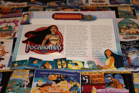 Willabee and Ward Disney Collector Patch "Pocahantas"