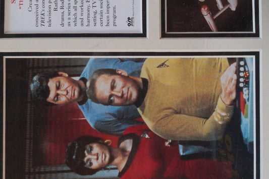 Star Trek Original Series Print